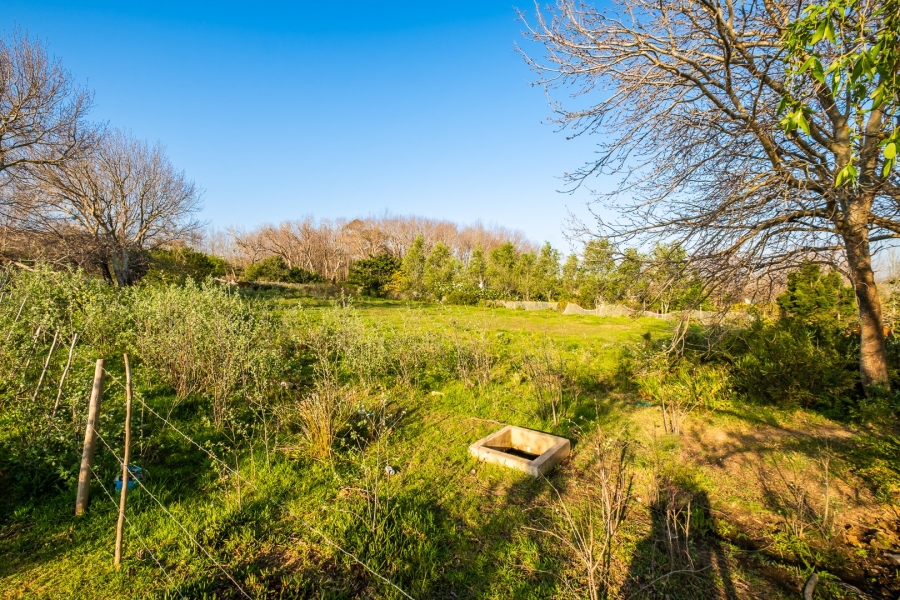 Commercial Property for Sale in Baardskeerdersbos Western Cape